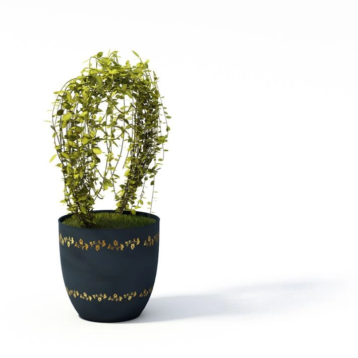 植物盆栽绿植23