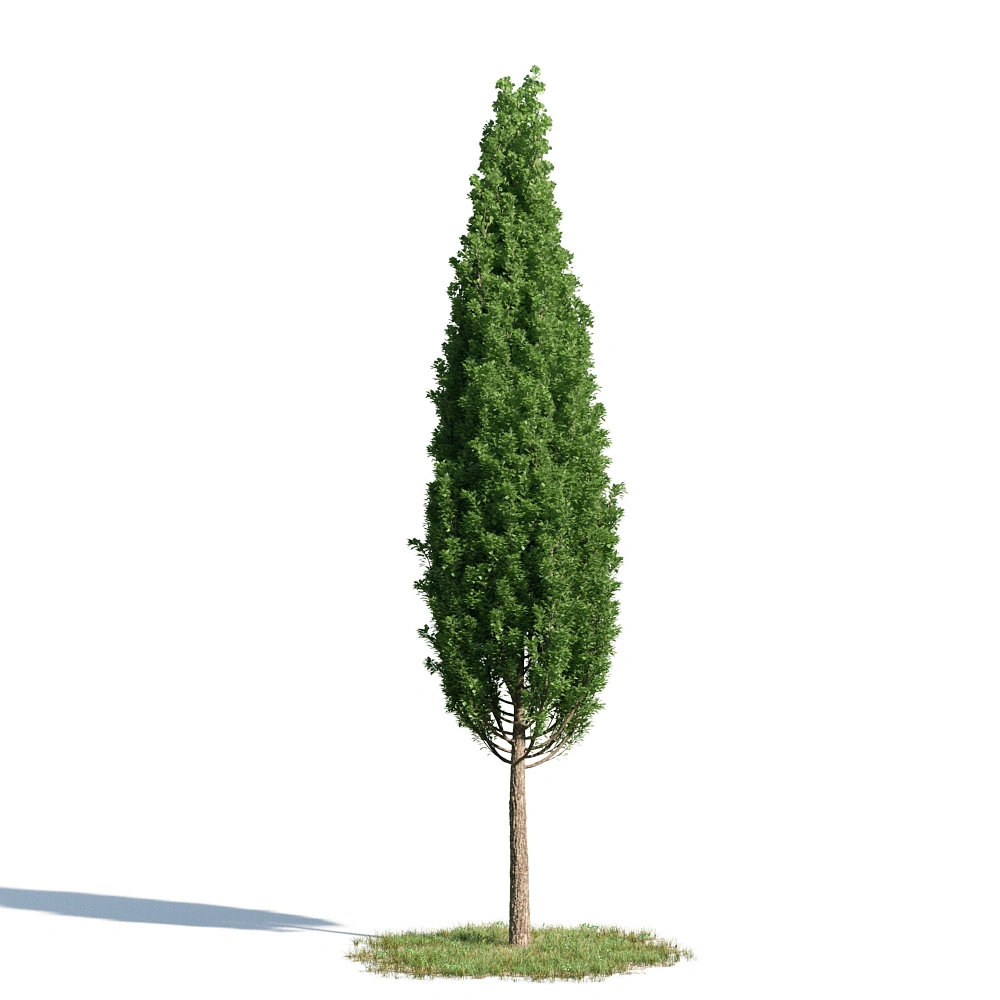 绿色锥形树3D模型