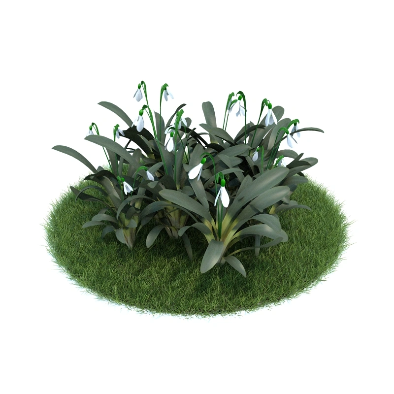 花园植物绿植花卉23