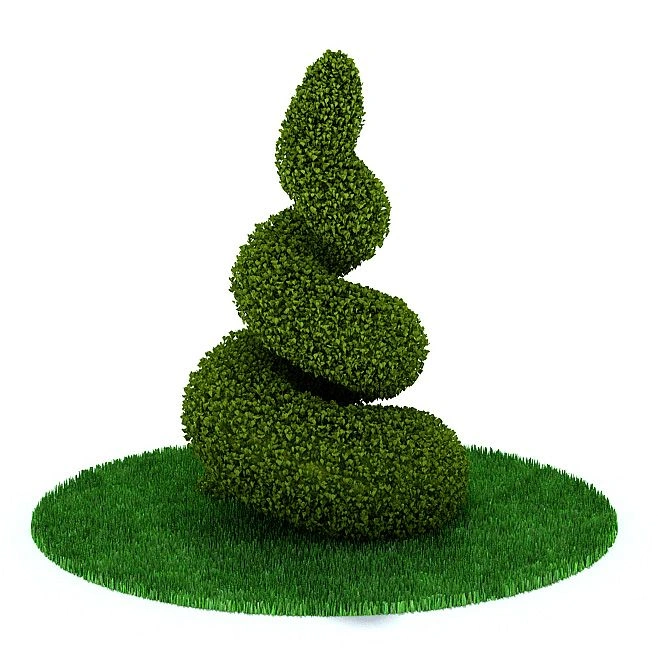 植物33