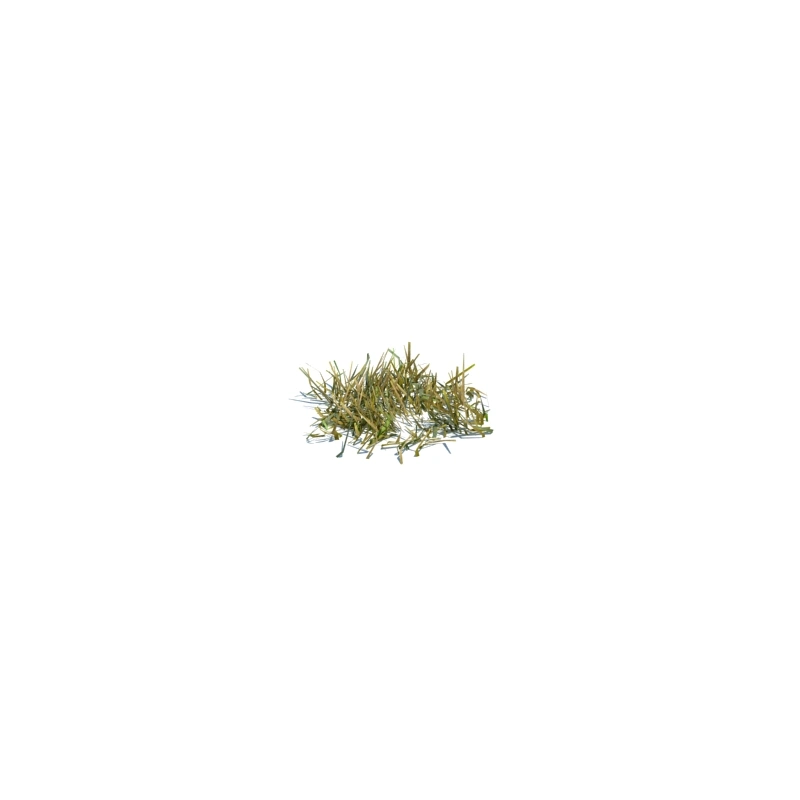草地小型植物108
