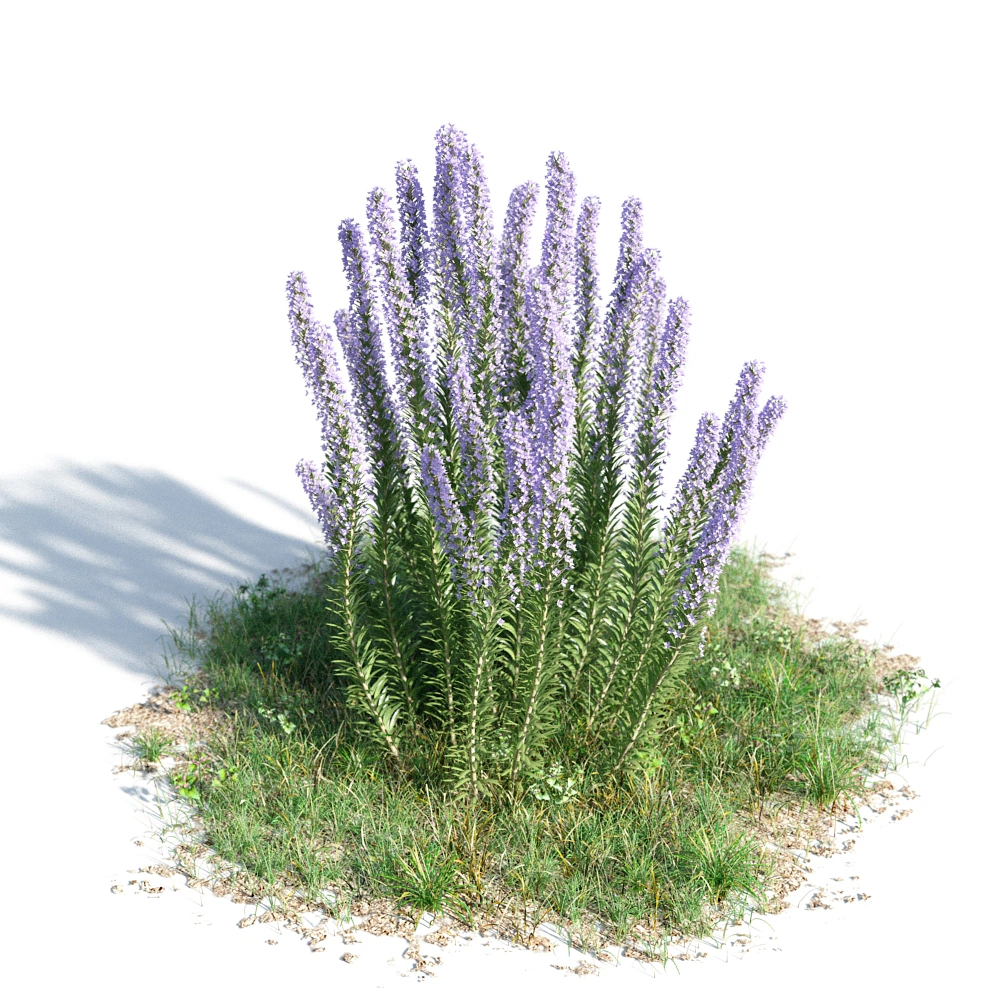 紫色花丛3D模型