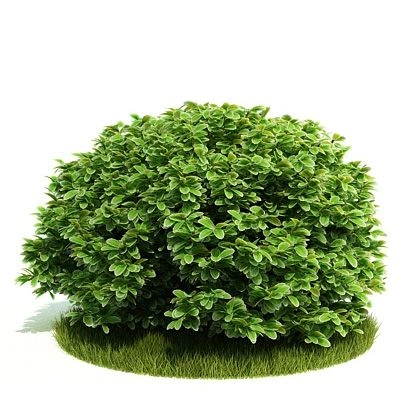 植物绿植树木108