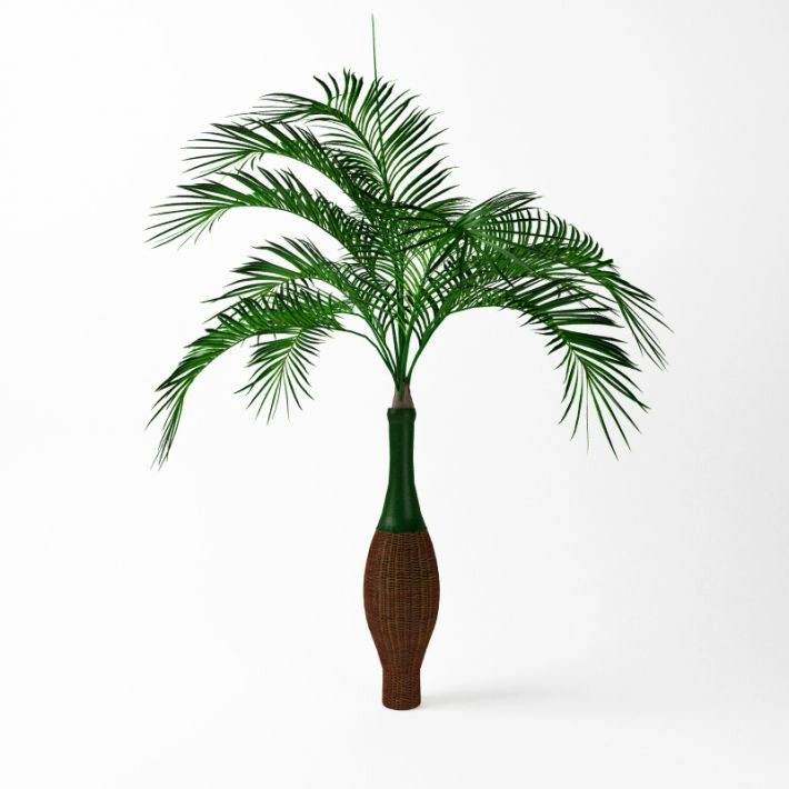 植物绿植盆栽83