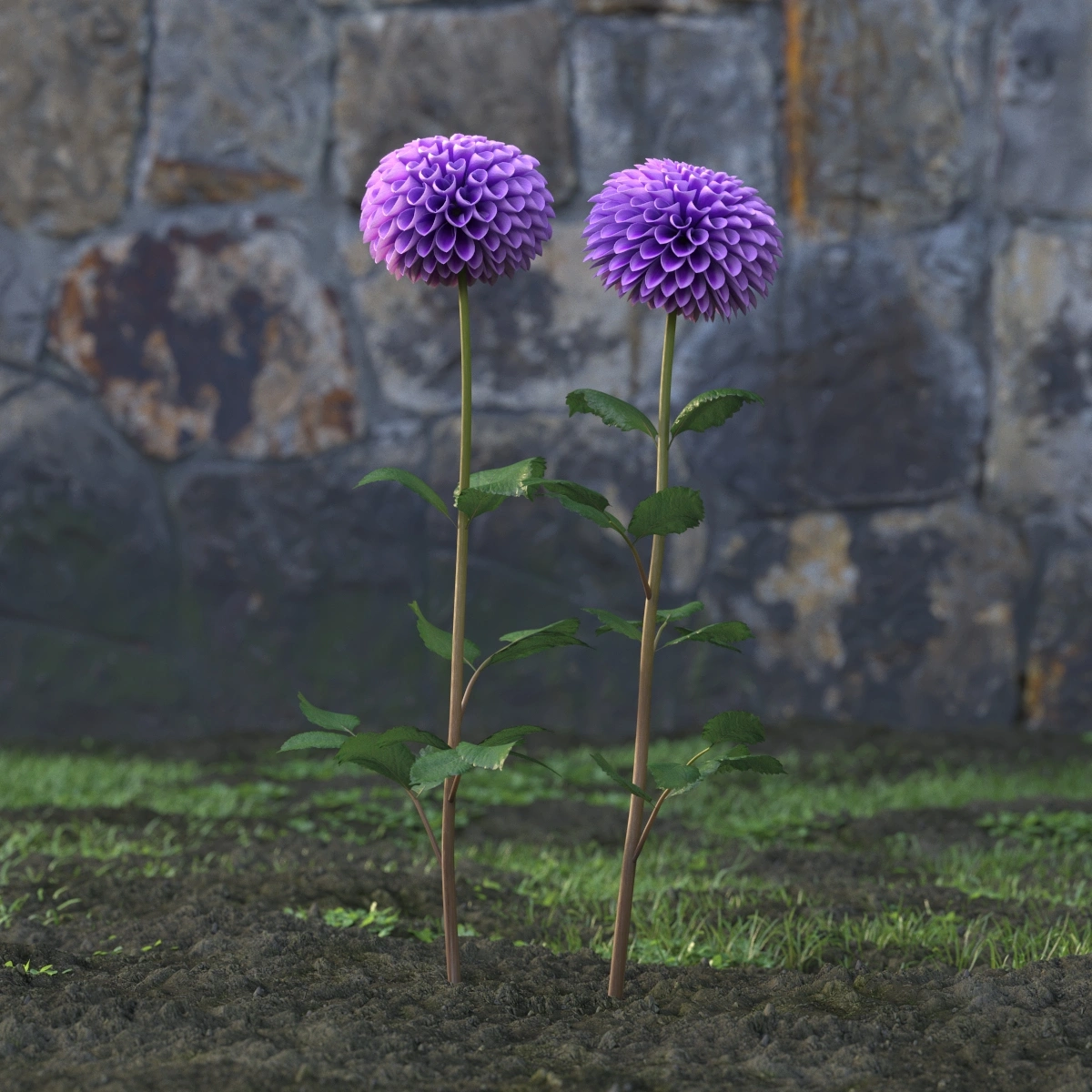 紫色球形花卉3D模型