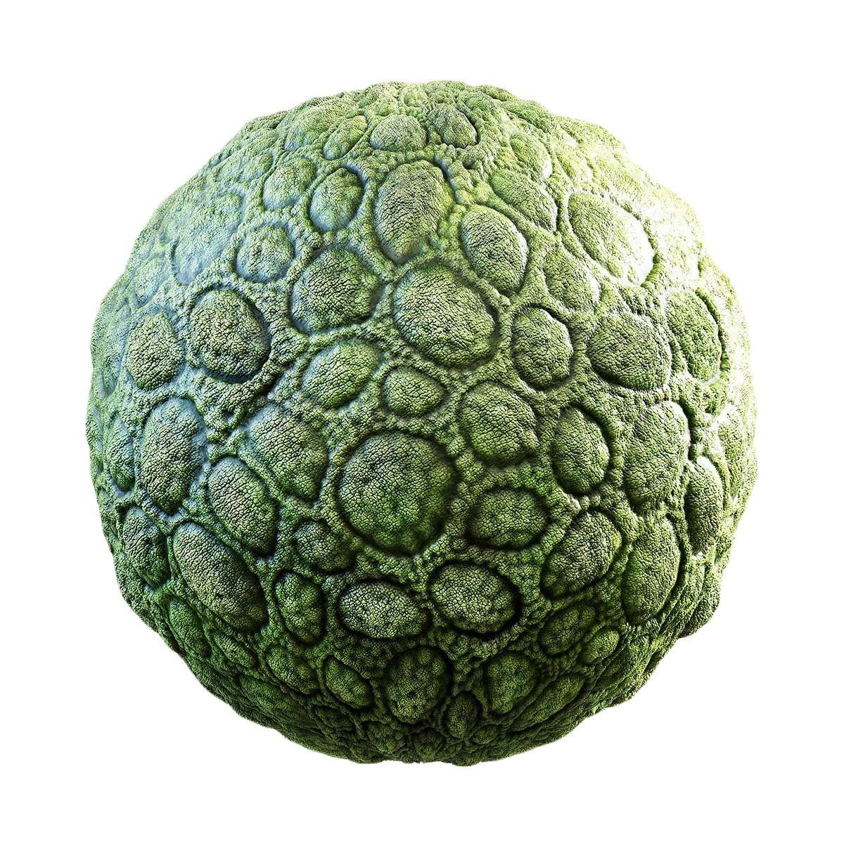 绿色生物皮肤材质贴图