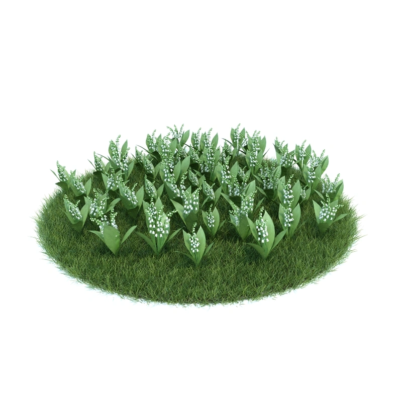 花园植物绿植花卉13