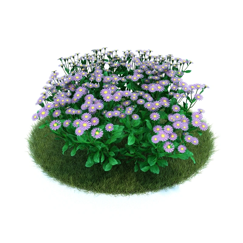 花园植物绿植花卉5