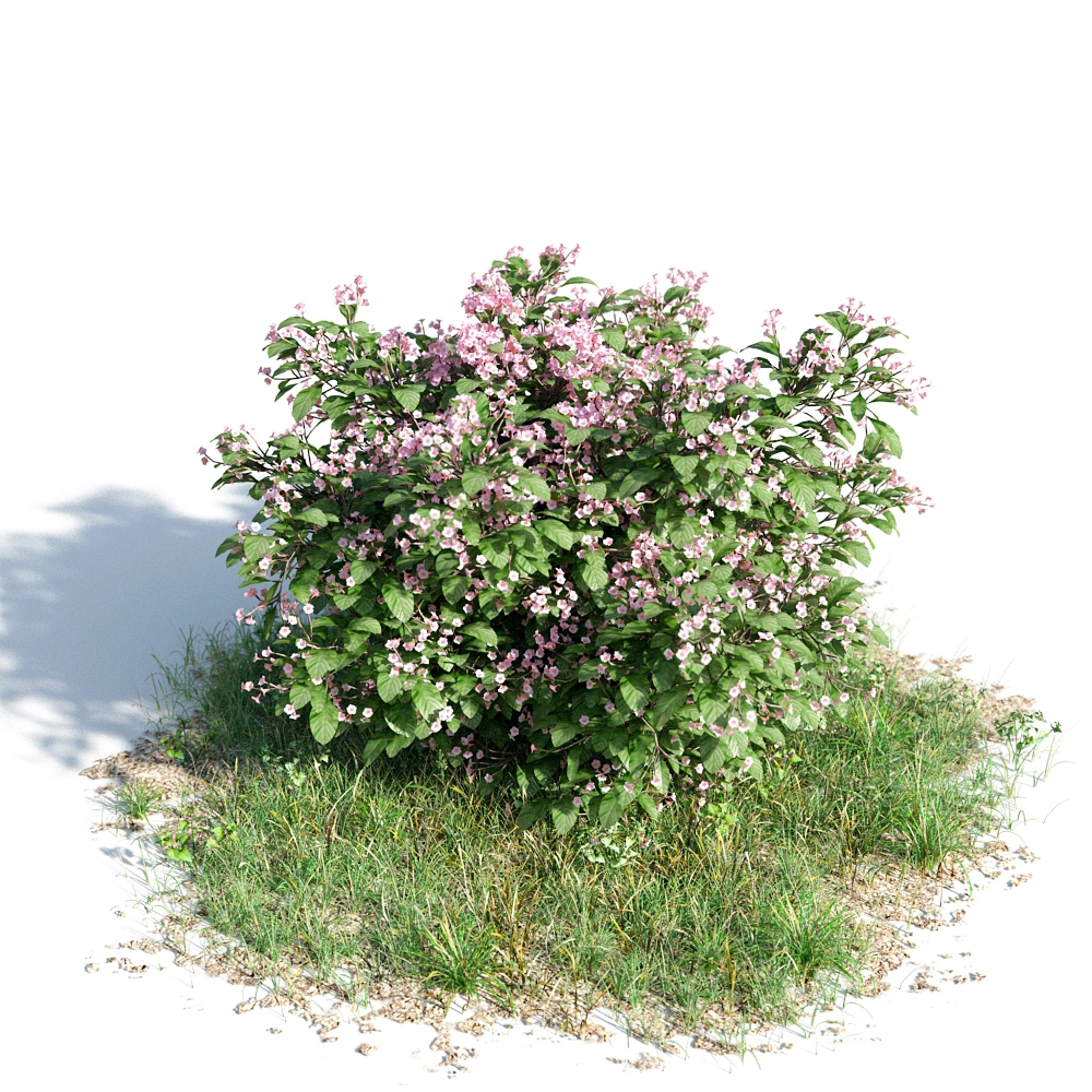 3D紫色花丛草地模型