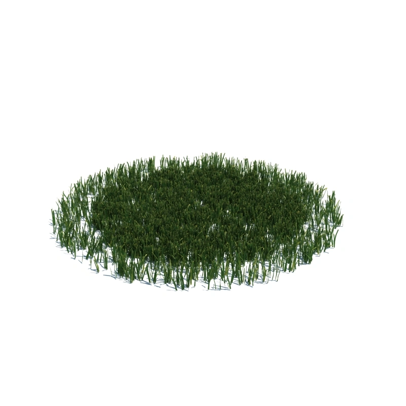 草地小型植物158