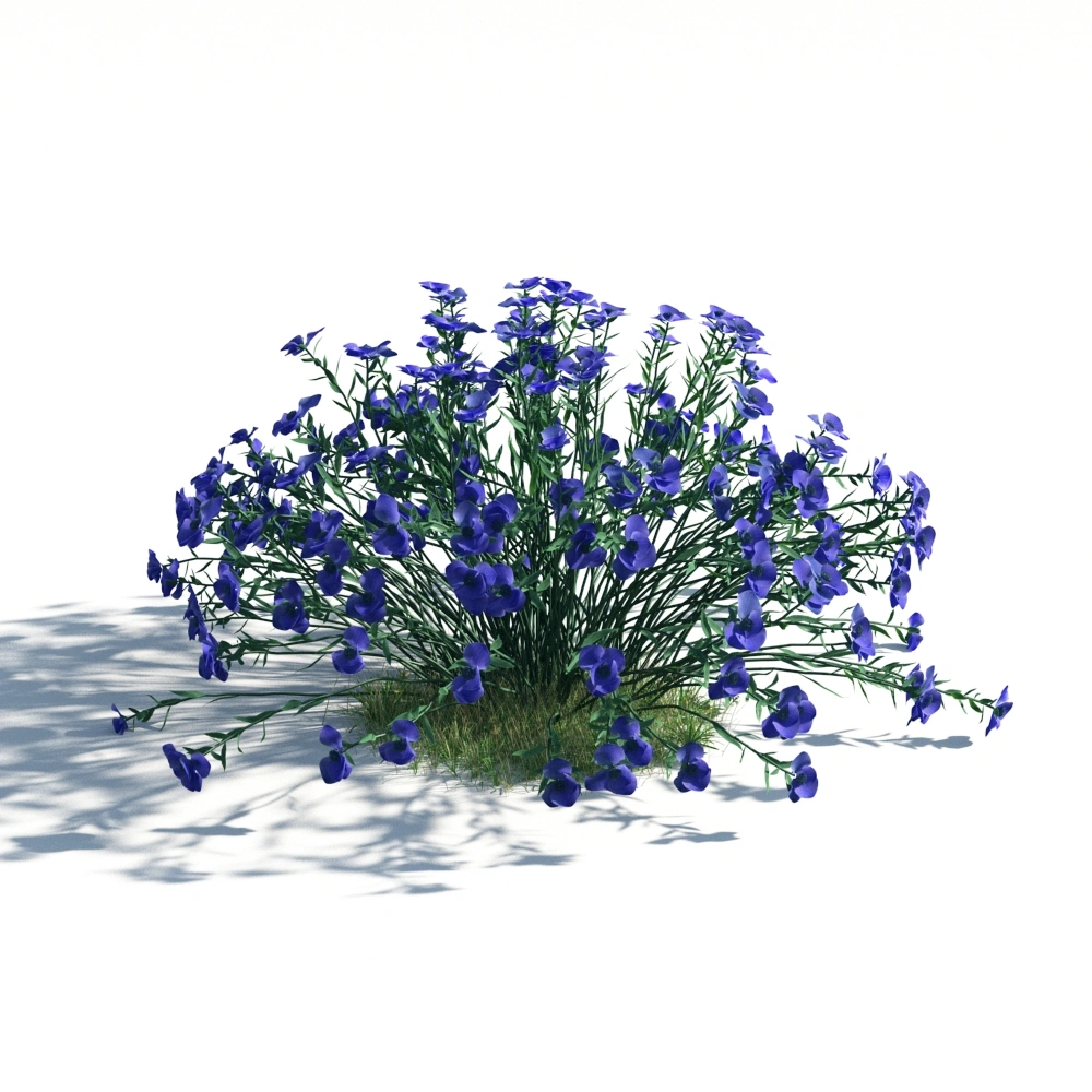 蓝色鲜花3D模型
