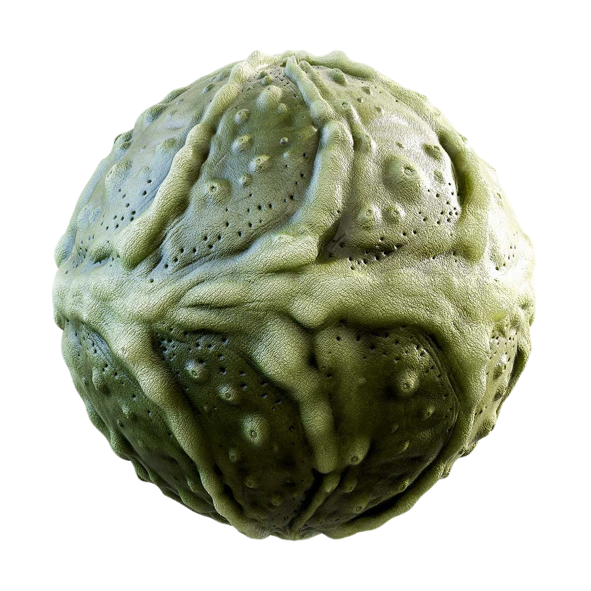 绿色生物皮肤纹理材质