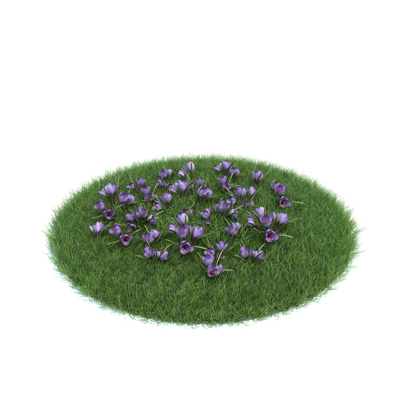 花园植物绿植花卉15