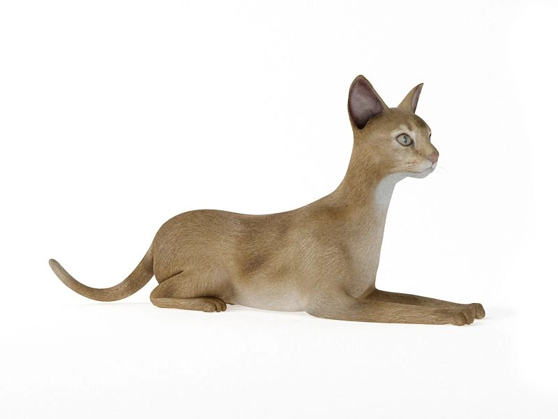 侧躺浅棕猫雕塑3D模型