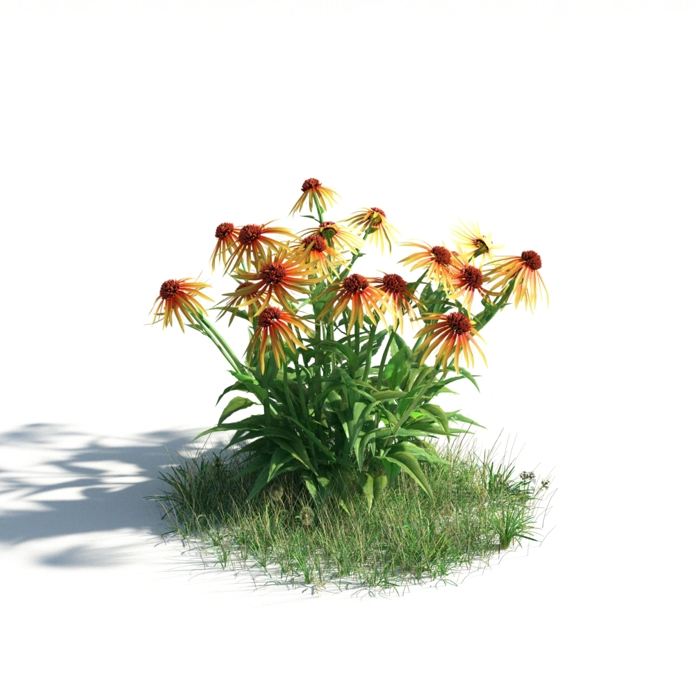 3D自然花卉草皮模型