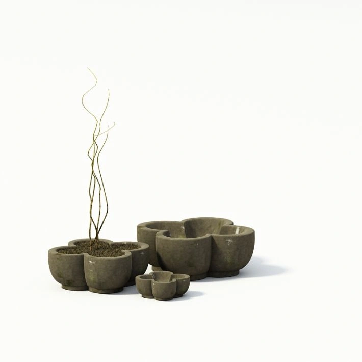 植物盆栽绿植43