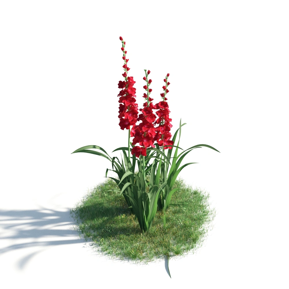 3D红色鲜花与草地模型