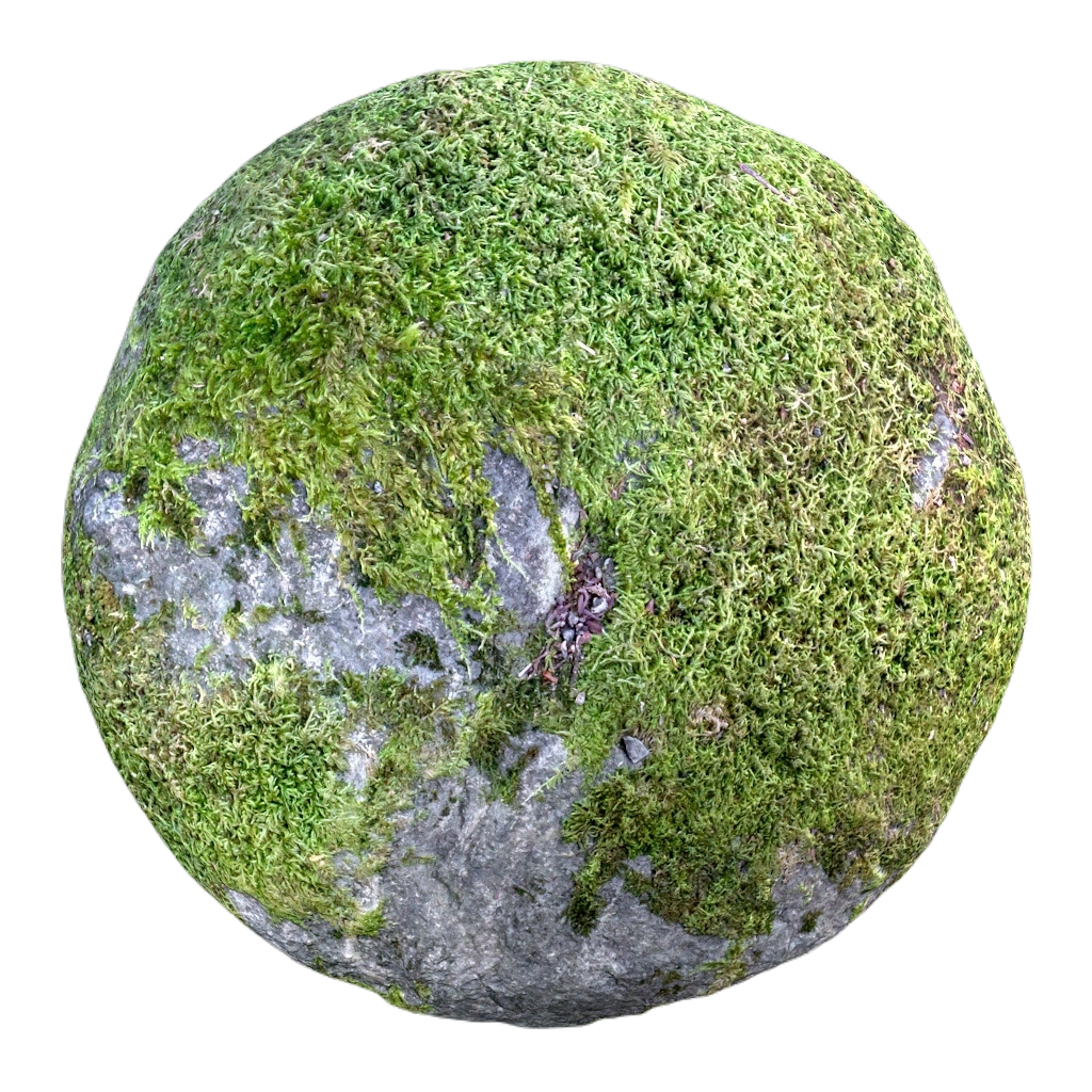 青苔覆盖的岩石表面