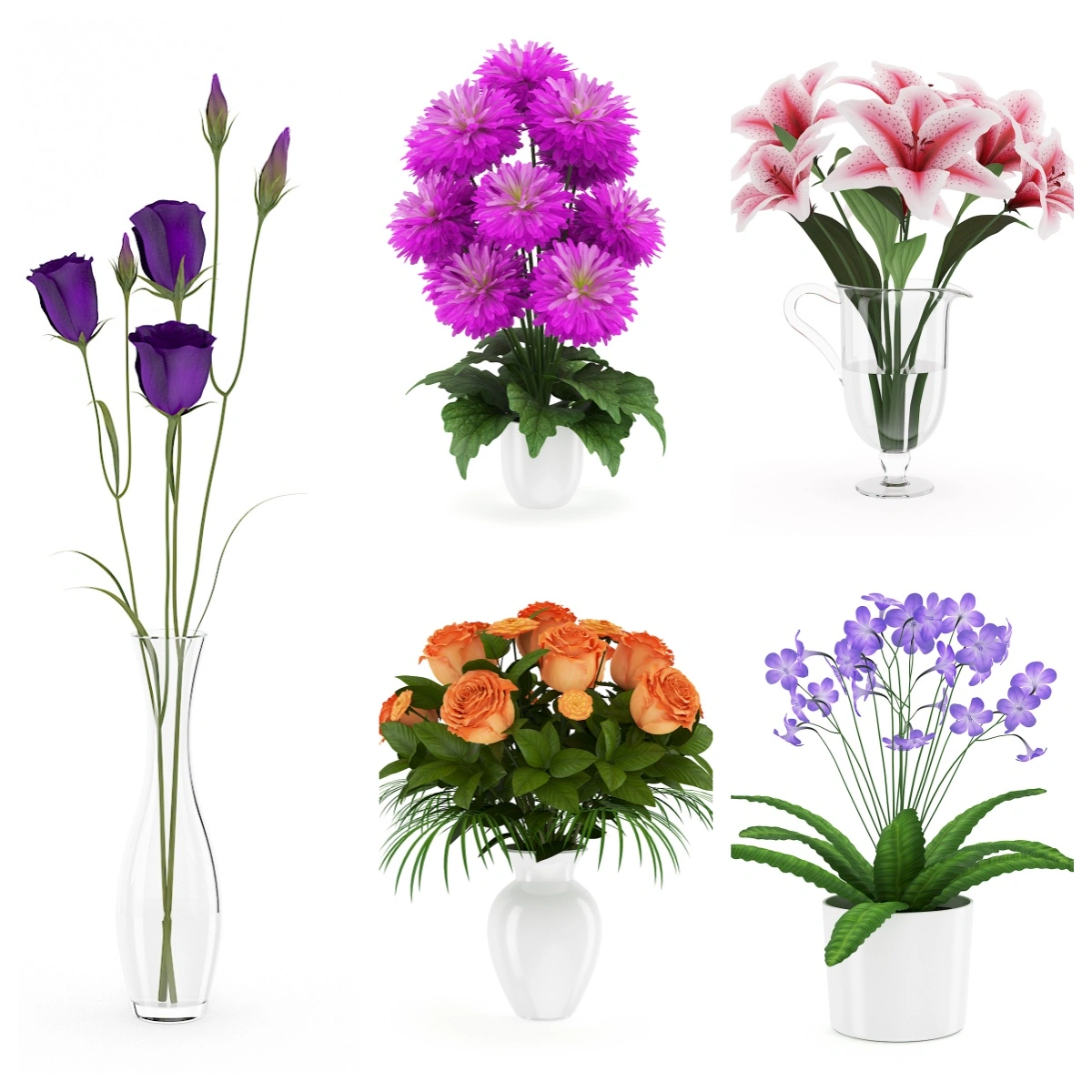 花卉鲜花盆栽3D模型集合