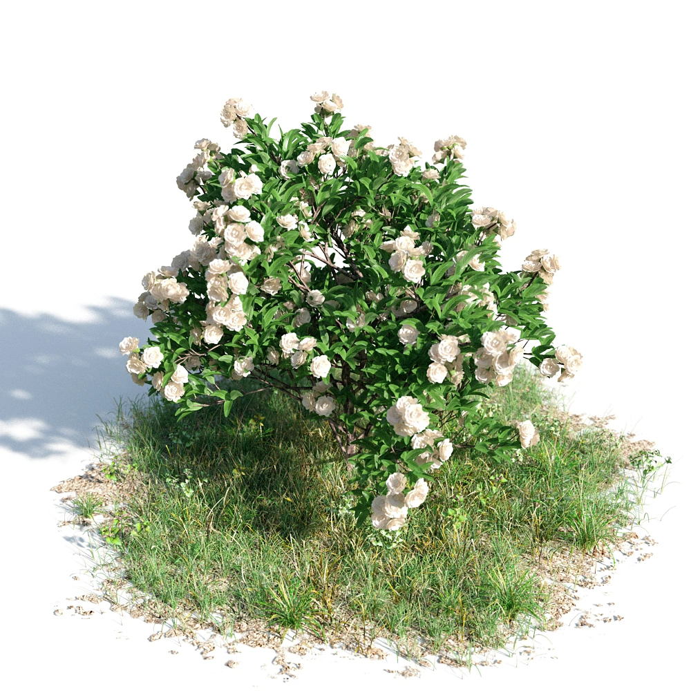 3D花丛草地模型