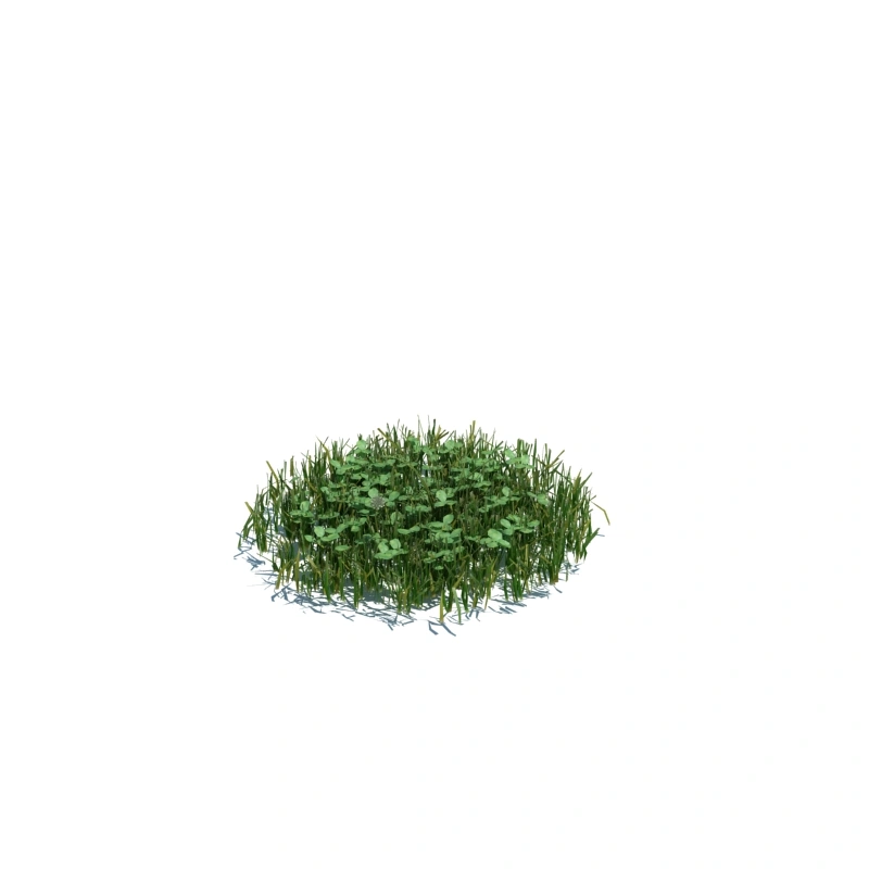 草地小型植物115