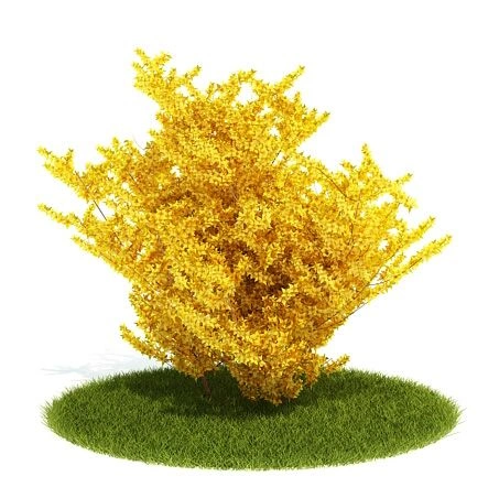 植物绿植树木72