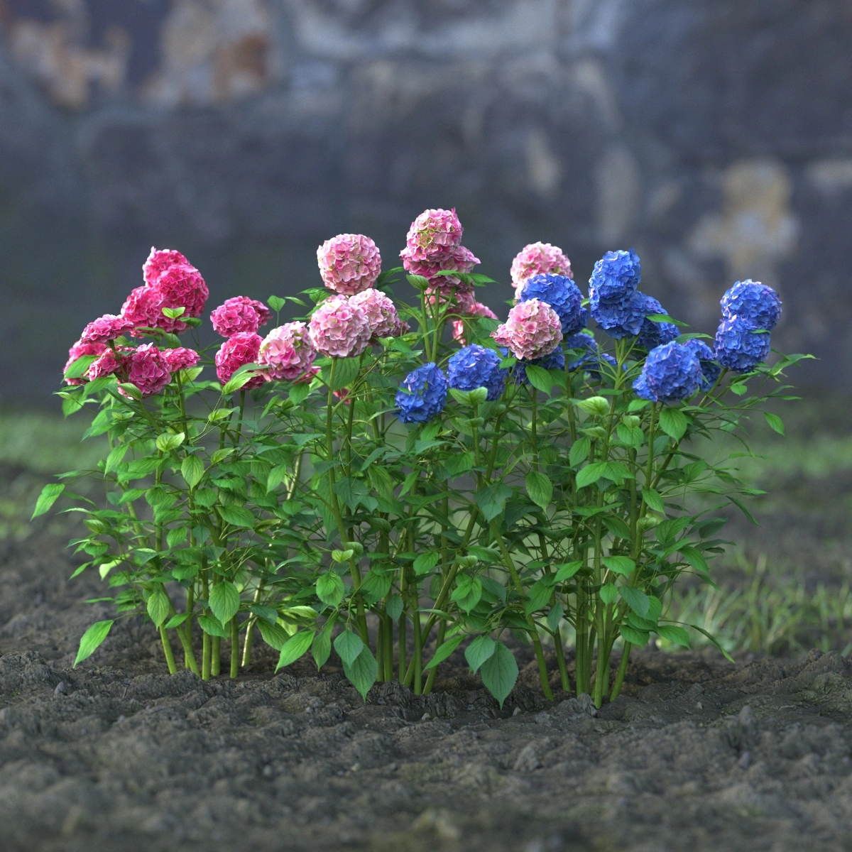 3D花卉模型素材