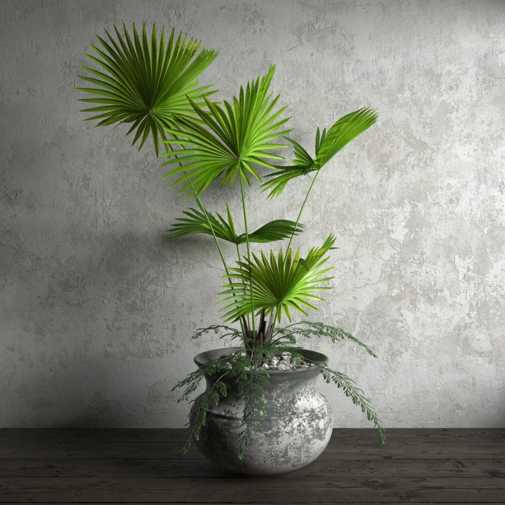 盆栽绿植植物10