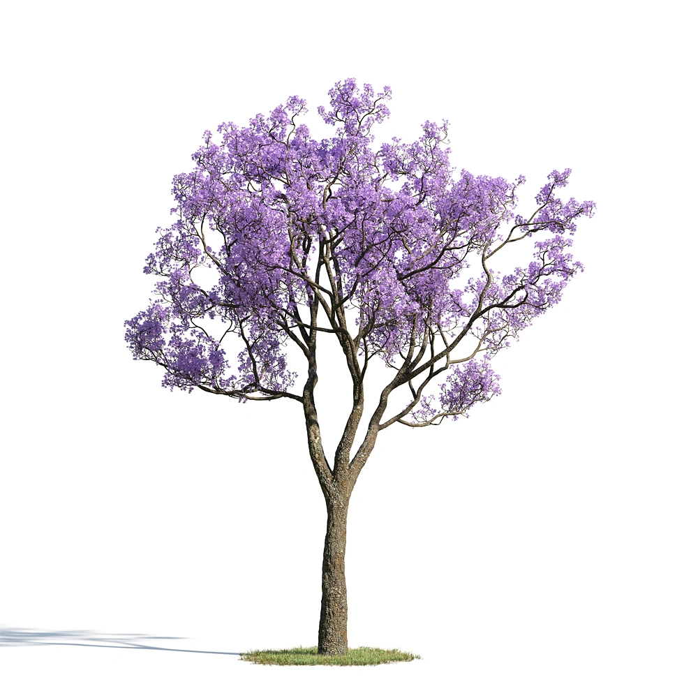 紫色花树3D模型