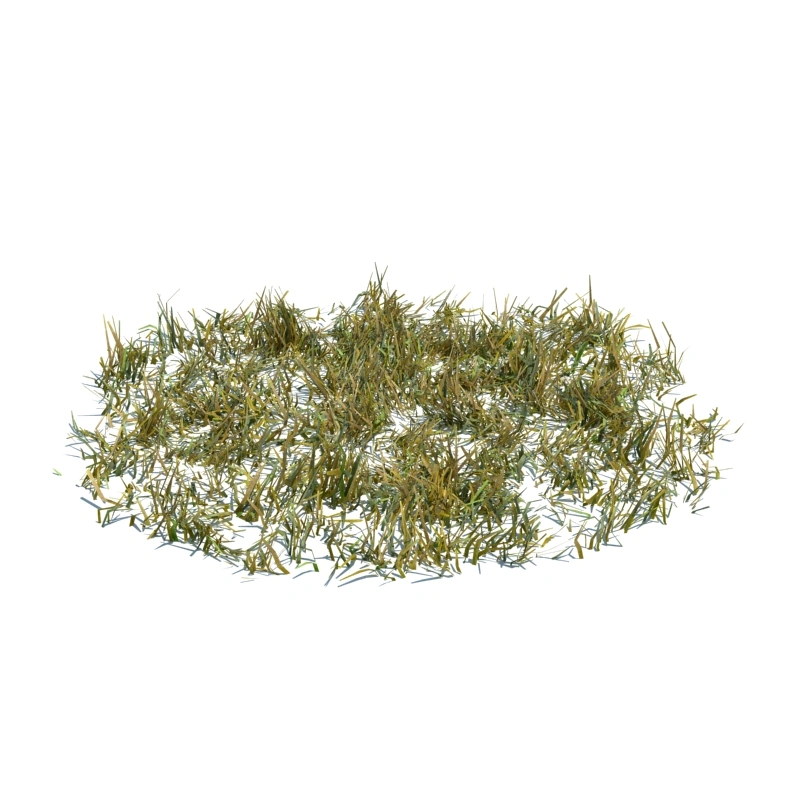 草地小型植物110