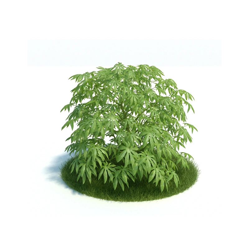 植物绿植树木190