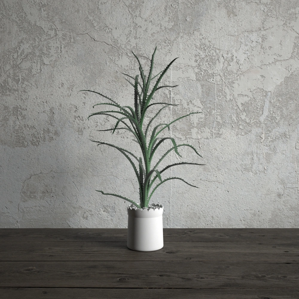 盆栽绿植植物1