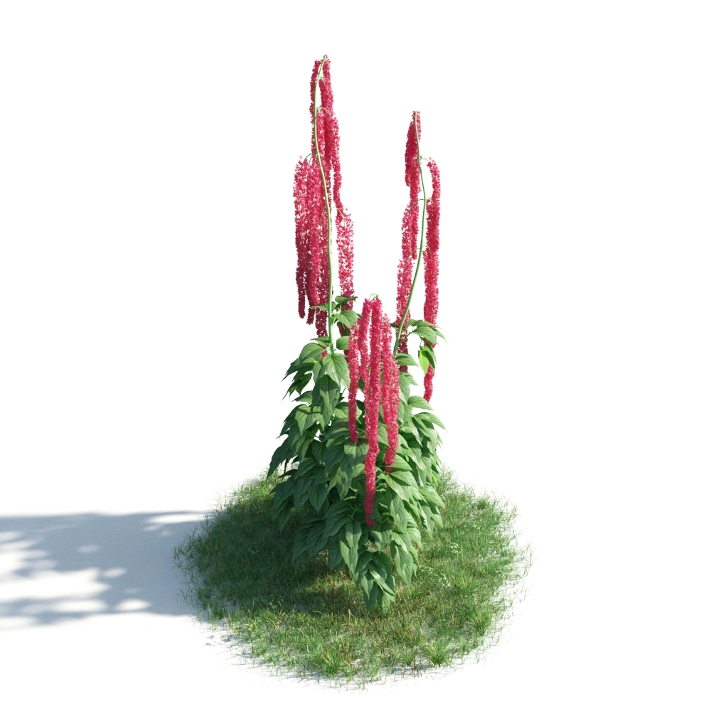 3D红色花柱植物模型