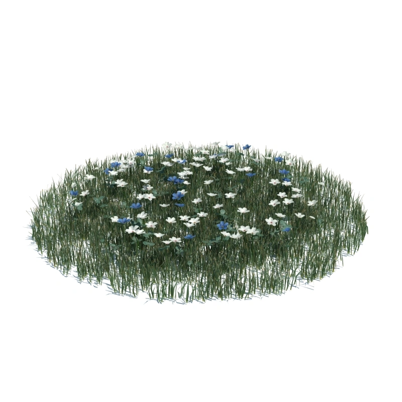 草地小型植物122