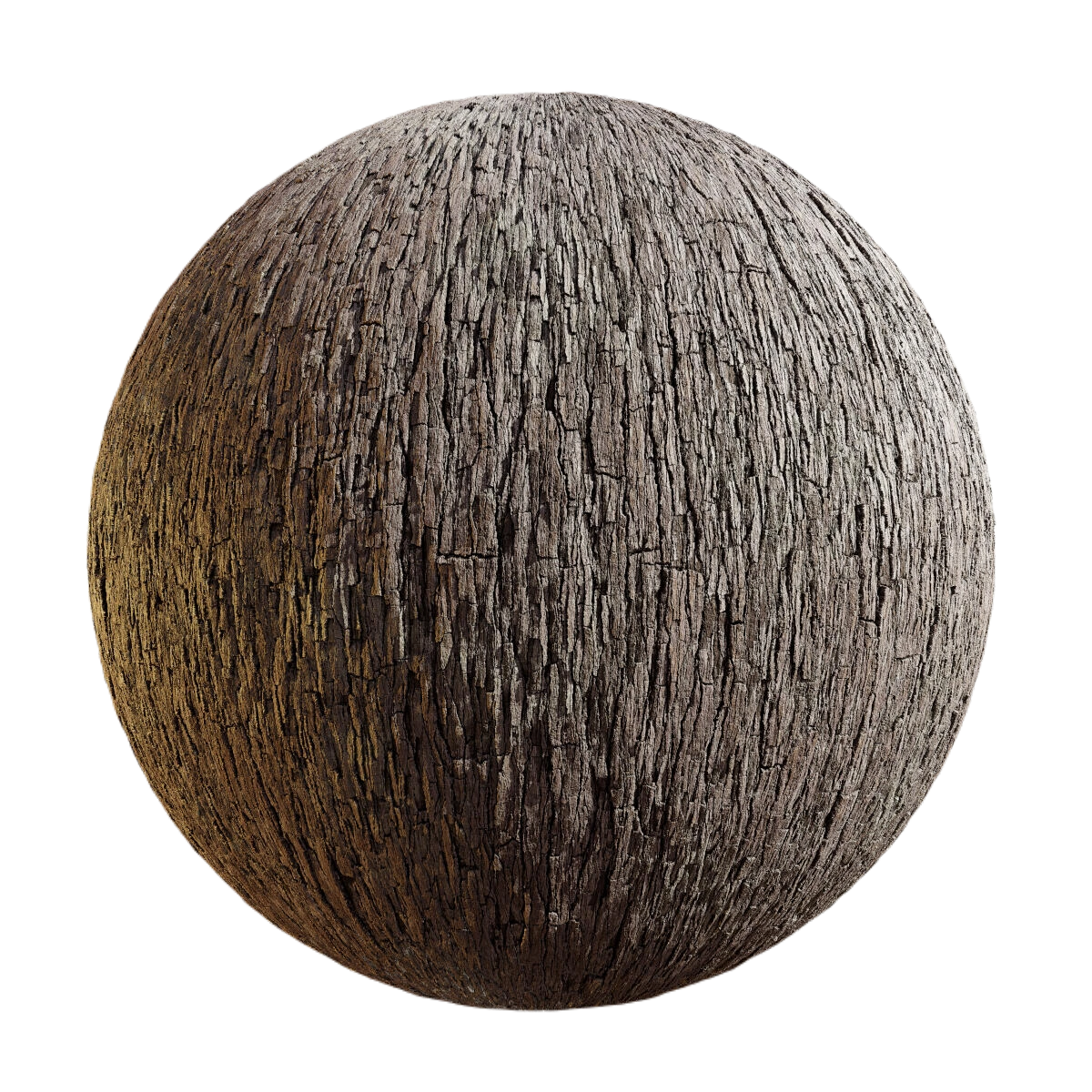 纳拉树皮3 CGAxis narra tree bark