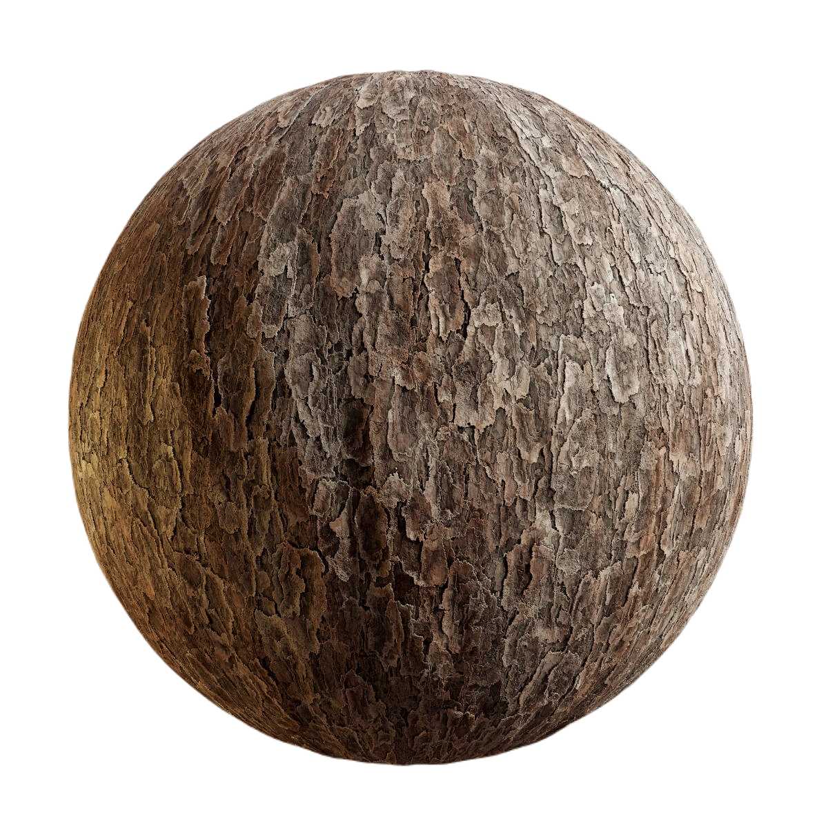 日本红松树皮1 CGAxis japanese red pine bark