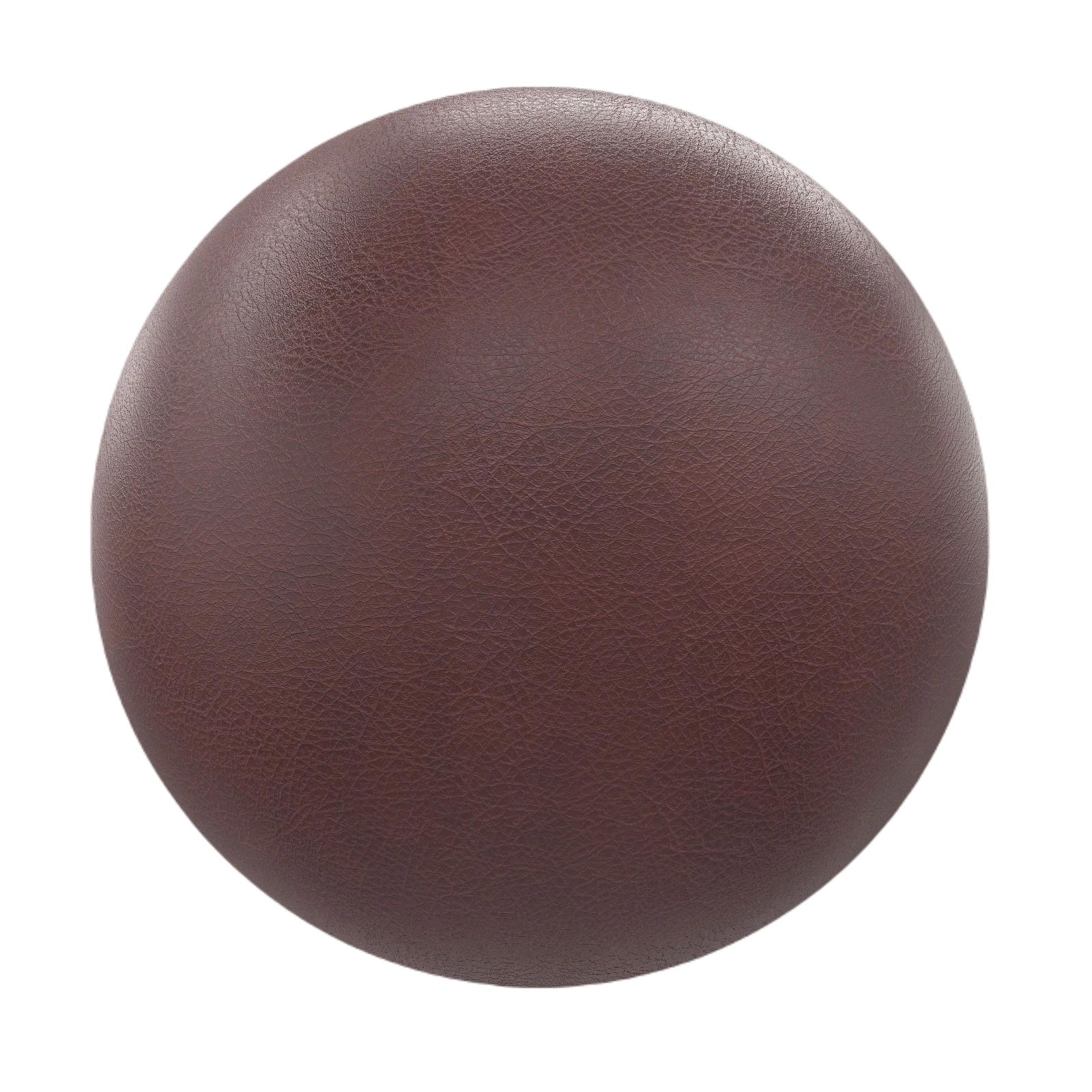 棕色皮革11 CGAxis brown leather