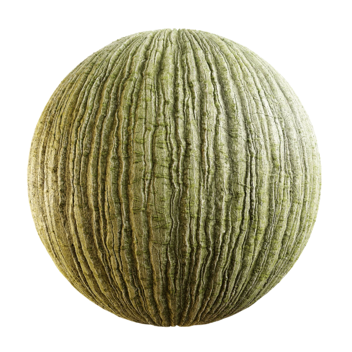 满洲枫树皮1 CGAxis manchurian maple bark