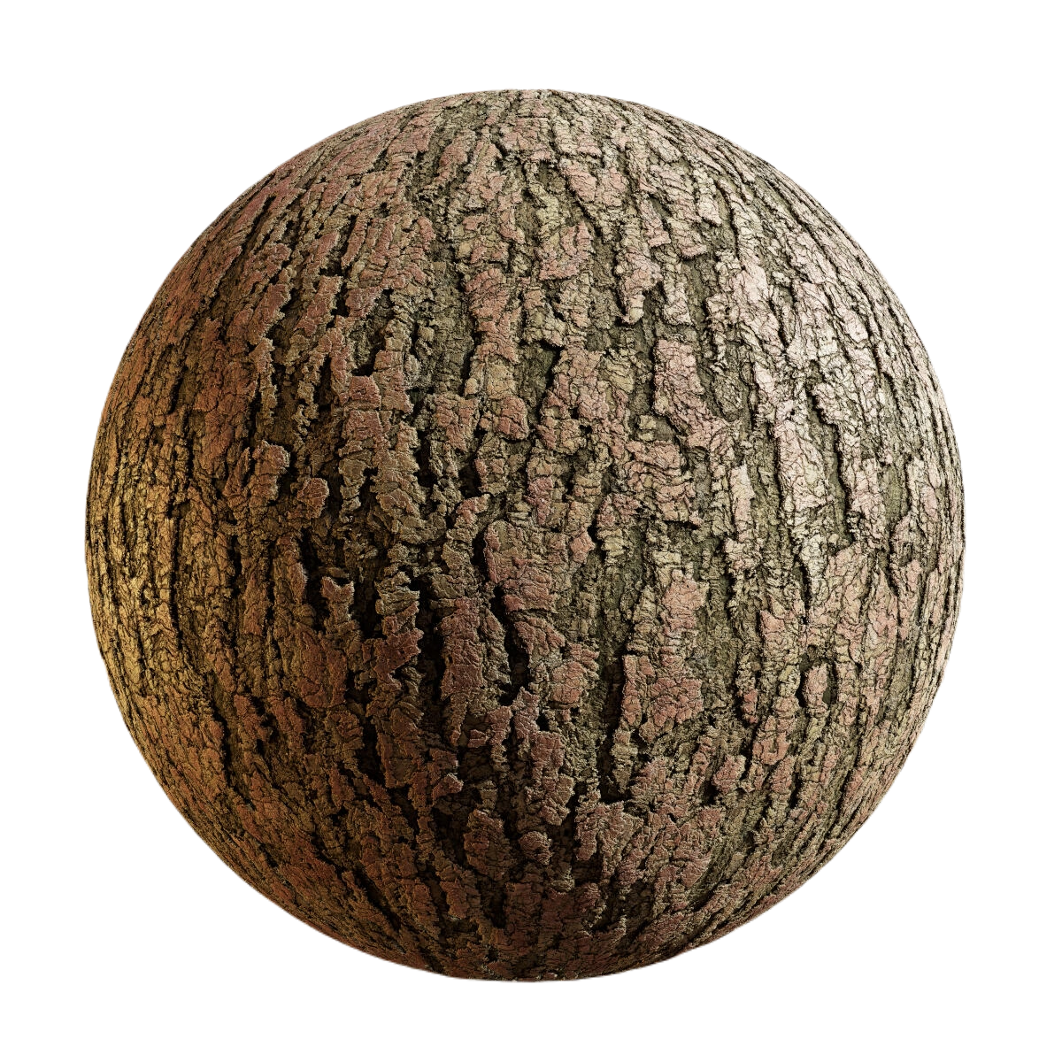 白松树皮4 CGAxis chinese white pine bark