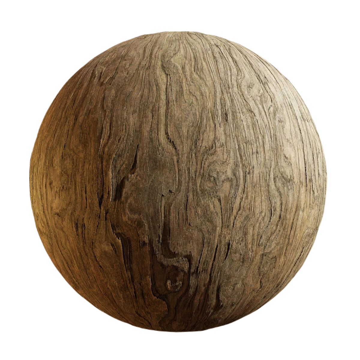日本红豆杉树皮1 CGAxis japanese yew bark