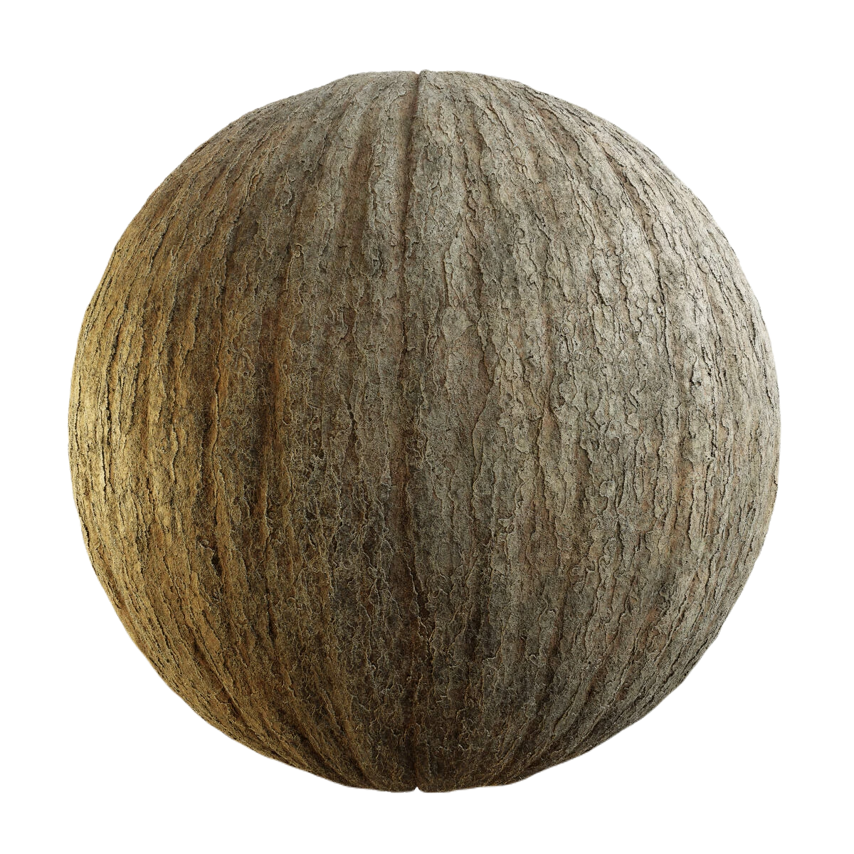 韩国云杉树皮1 CGAxis korean spruce bark
