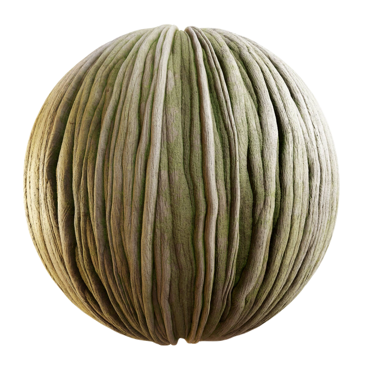 无花果树皮与苔藓 CGAxis sacred fig bark with moss