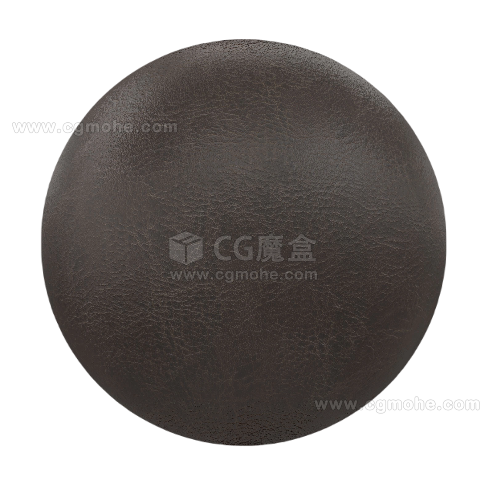 棕色皮革24 CGAxis brown leather