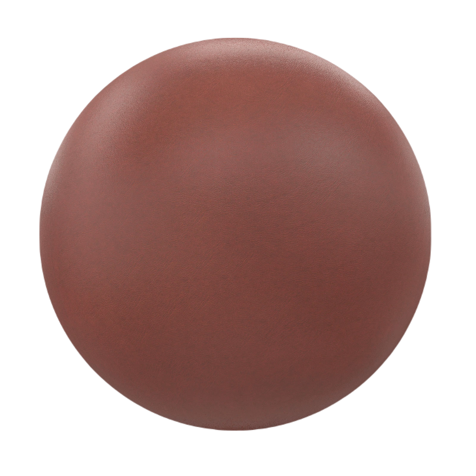 棕色皮革17 CGAxis brown leather