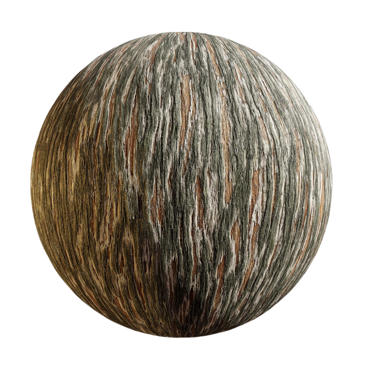 黎明红杉树皮1 CGAxis dawn redwood bark