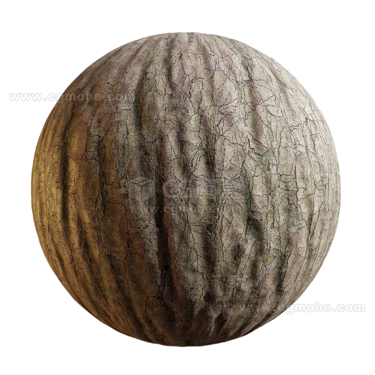 白松树皮 CGAxis chinese white pine bark