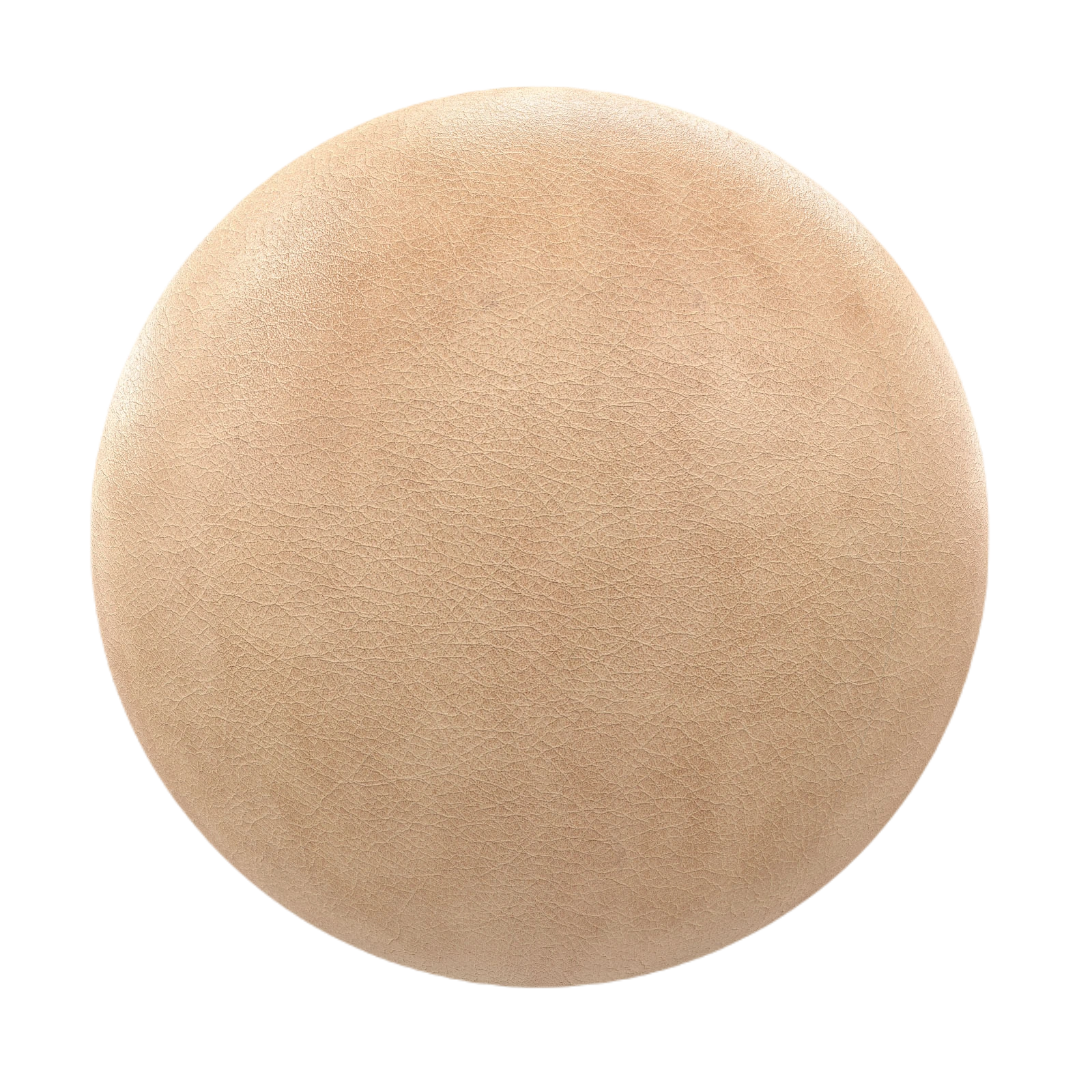 米色皮革2 CGAxis beige leather