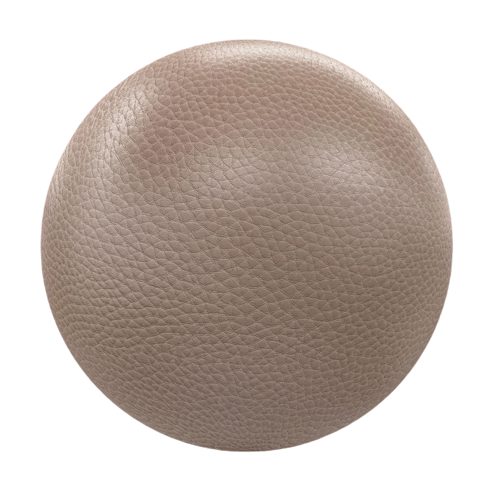 米色皮革5 CGAxis beige leather
