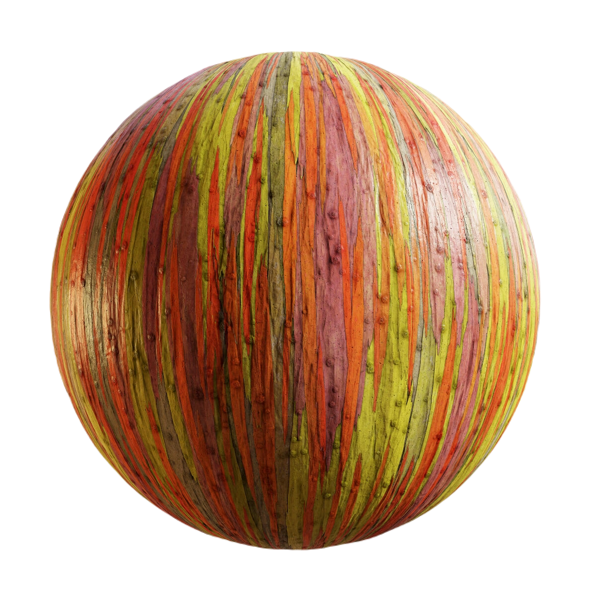 彩虹桉树3 CGAxis rainbow eucalyptus